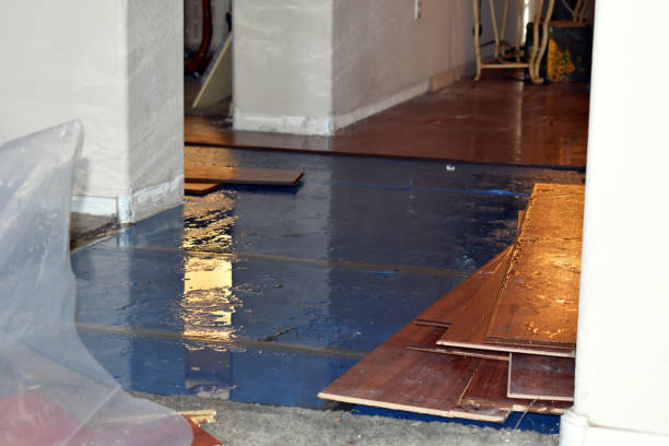 Professional Flood Damage Repair technician working in Dundee, NY